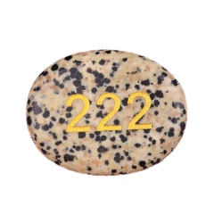Dalmation Jasper-222