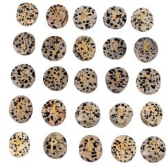 Dalmation Jasper