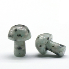 Kiwi Stone