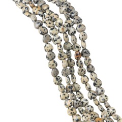 Dalmation Jasper