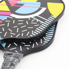pickleball paddle set
