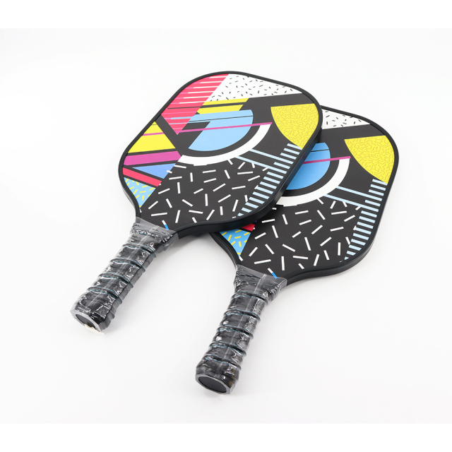 pickleball paddle set