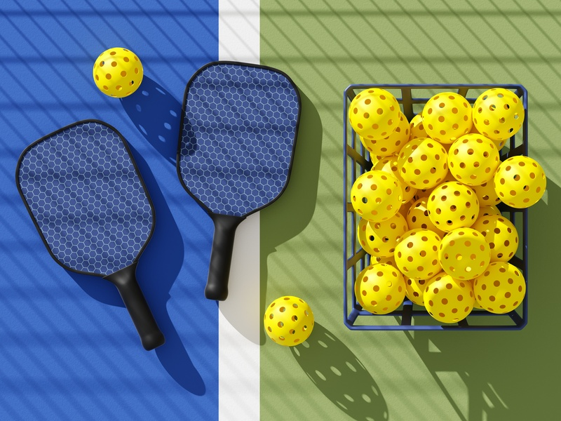 Professional pickleball paddle manufacturer offering custom graphite and fiberglass paddles