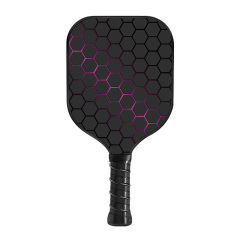 Pickleball paddle set including 2 fiberglass paddles and 4 balls from MELORS