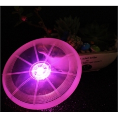 LED Light Up Flying Disc Frisbee