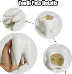 Tooth Shaped Planter Pot, Pen Pencil Holder