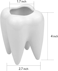 Tooth Shaped Planter Pot, Pen Pencil Holder