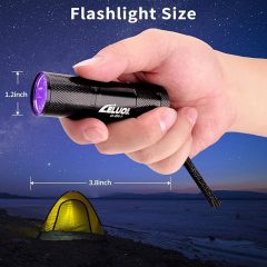 Giveaway 9 LED Metal Flashlights-White or UV light