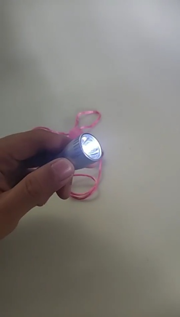 Flashlight with Pen and Lanyard