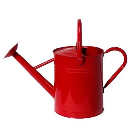 Metal Watering Can with Handle and Rosehead Nozzle