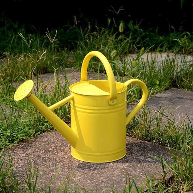 Metal Watering Can with Handle and Rosehead Nozzle