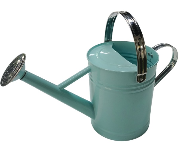 Metal Watering Can with Handle and Rosehead Nozzle