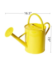 Metal Watering Can with Handle and Rosehead Nozzle