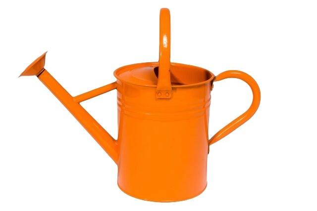 Metal Watering Can with Handle and Rosehead Nozzle
