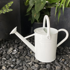Metal Watering Can with Handle and Rosehead Nozzle