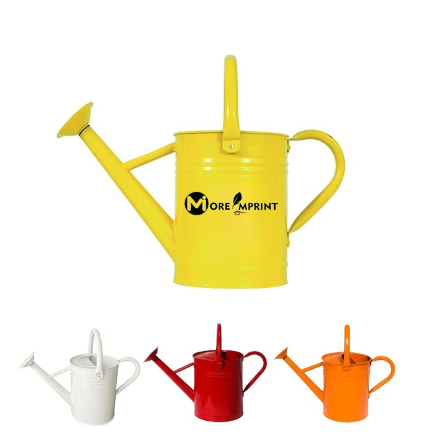 Metal Watering Can with Handle and Rosehead Nozzle