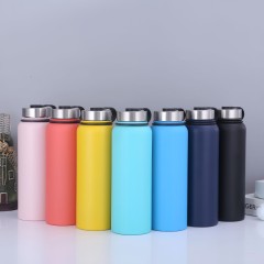 Stainless Steel Vacuum Bottle