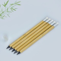 Metal Alloy Tip Inkless Pen w/ Cap