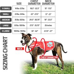 Dog Reflective Vest / Hi-Visibility Dog Jacket