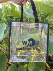 Giveaway Clear Stadium Tote Bags