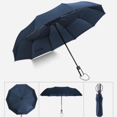 10 Ribs Automatic Umbrella