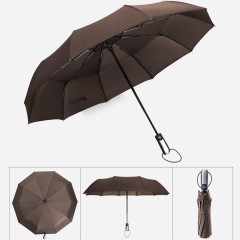 10 Ribs Automatic Umbrella