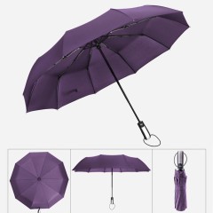 10 Ribs Automatic Umbrella