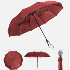 10 Ribs Automatic Umbrella