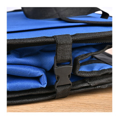 Tailgater Trunk Cooler Organizer