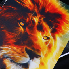 3D Journal & Notepad