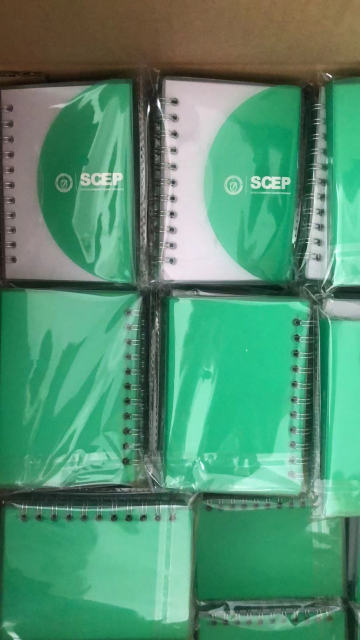 Spiral Curve Notebook - 4-1/4" x 3-1/4"