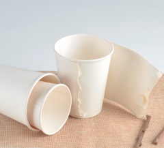 16 Oz Disposable Double Wall Paper Coffee Cups With Lids