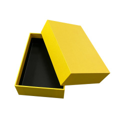 Custom Printed Gift Box with Lid and Insert