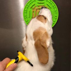 Slow Feeder Pet Lick Food Mat