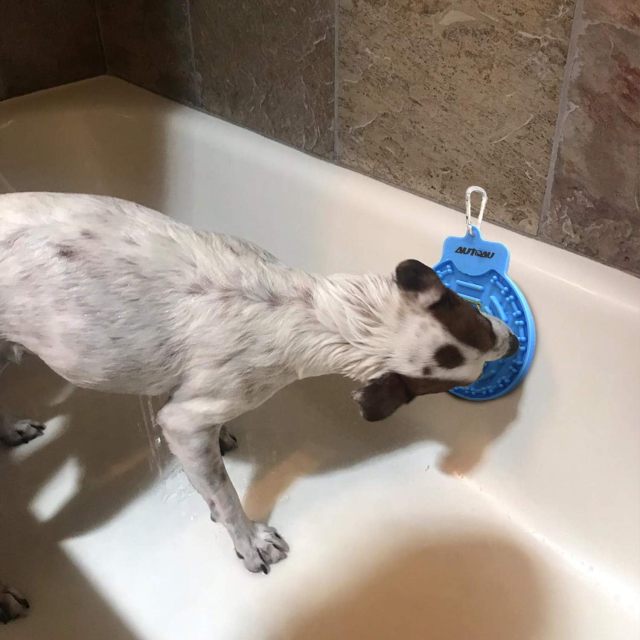 Slow Feeder Pet Lick Food Mat