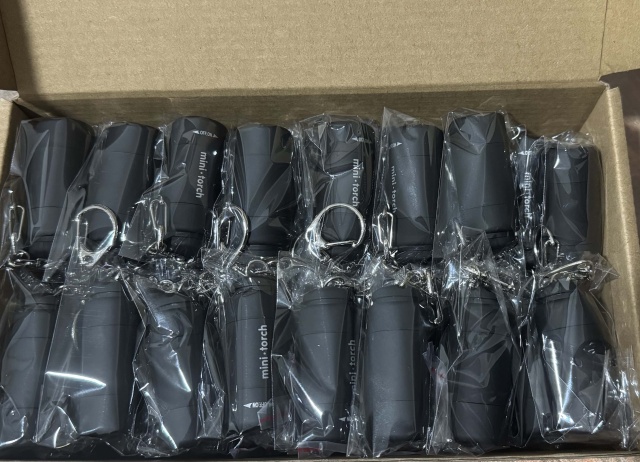 Rechargeable LED Light Key Chain