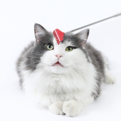 Extendable Back Scratcher