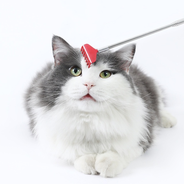 Extendable Back Scratcher
