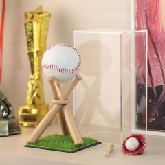 Baseball Display Case with Wood Stand and Lawn