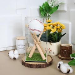 Baseball Display Case with Wood Stand and Lawn