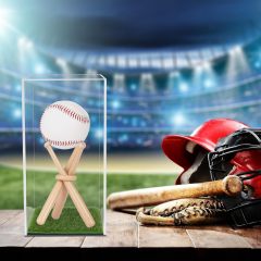 Baseball Display Case with Wood Stand and Lawn