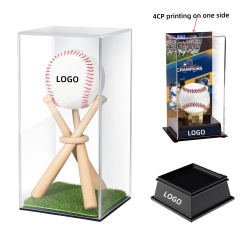 Baseball Display Case with Wood Stand and Lawn