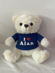 Stuffed Animal with T -Shirt