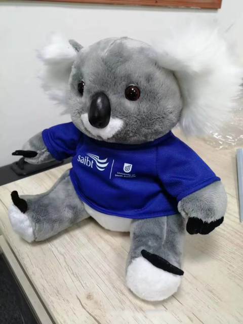Stuffed Animal with T -Shirt