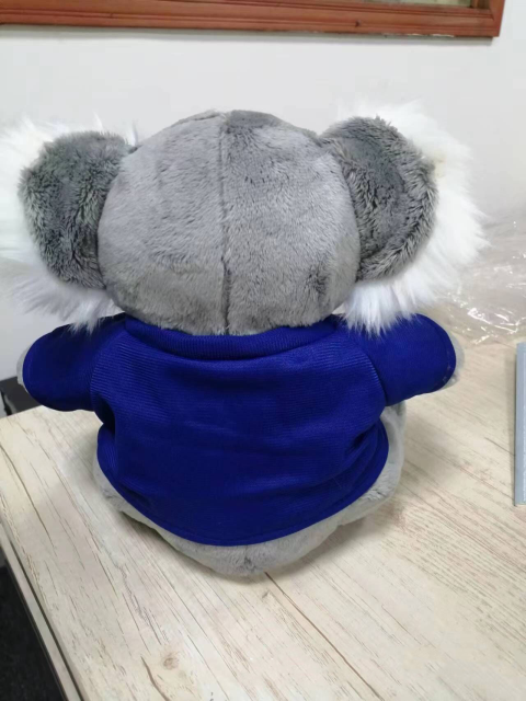 Stuffed Animal with T -Shirt
