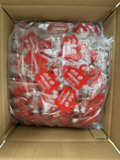 House Soft Keychain