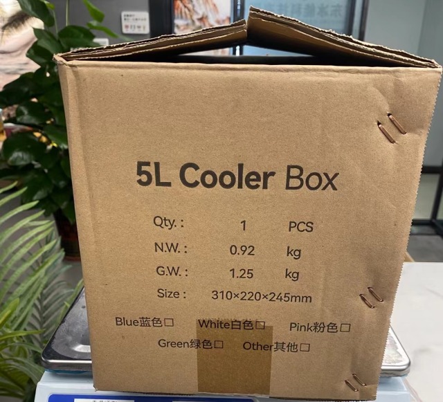 Portable Cooler Box 5L PP Plastic Cooler Box
