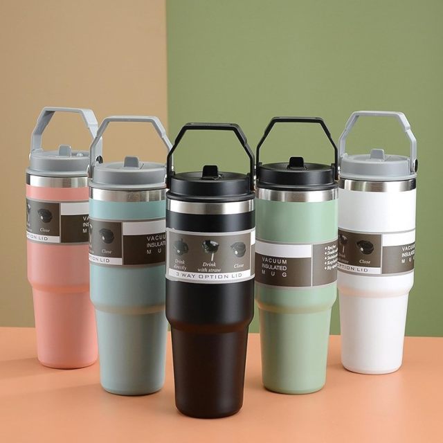 Portable 17oz Insulated Tumbler Stainless Steel Water Bottles with Handle Straw