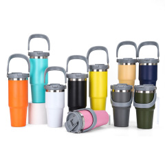 Portable 17oz Insulated Tumbler Stainless Steel Water Bottles with Handle Straw