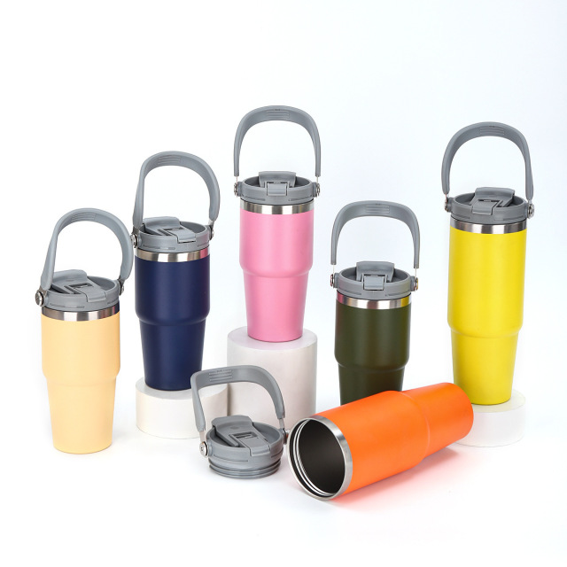 Portable 17oz Insulated Tumbler Stainless Steel Water Bottles with Handle Straw